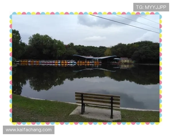 金龙娱乐场真人游戏新手入门指南,快速掌握游戏规则与操作技巧